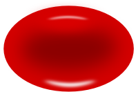 Erythrocyte