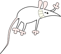 Мышка