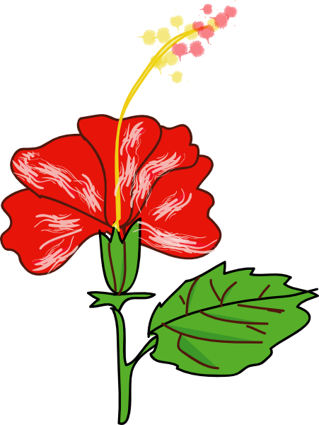 Гибискус, Цветок