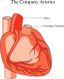 Cardiac
