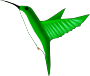 Hummingbird