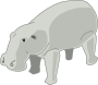 Hippopotamus